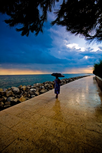 Immagine con ombrello, mare, pioggia, nuvole, scogli, cielo, donna, acqua, riflessi, rami, alberi, maltempo, lungomare, scogliera, passante, massi, passeggiare, riflesso, passeggiata, bagnato