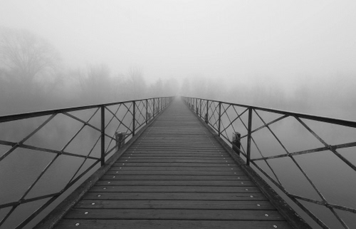 Immagine con ponte, nebbia, passerella, assi, alberi, parapetto, foschia, bianconero, prospettiva, acqua, legno, balaustre, grigio, pontile, ringhiere