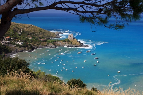 Immagine con mare, barche, albero, torre, costa, paesaggio, acqua, ramo, panorama, azzurro, pino