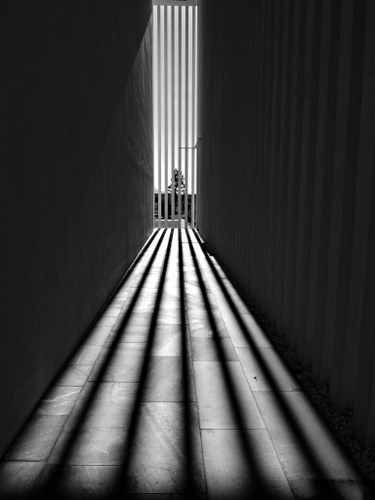 Immagine con bianconero, ombre, linee, nero, bianco, ombra, luce, prospettiva, pavimento, grata, albero, cancello, luci