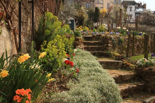 Immagine con fiori, giardino, verde, scala, rosso, case, giallo, scalini, gradini, piante, arancione, finestre, alberi, siepi, aiuole