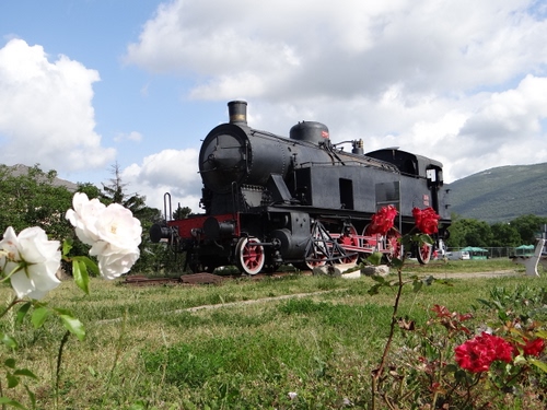 Immagine con locomotiva, fiori, prato, treno, rose, nuvole, nero, vapore, erba