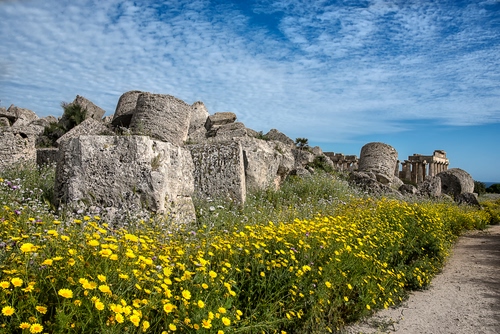 Immagine con fiori, ruderi, giallo, rovine, archeologia, cielo, pietre