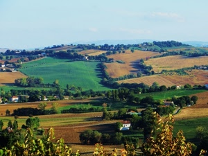 alberi, panorama, verde, colline, campi, paesaggio, collina, case, campagna, coltivazioni
