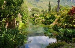 alberi, acqua, verde, fiume, riflessi, piante, foglie, riflesso, vegetazione, natura, azzurro, bosco, lago, montagna