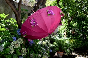 fiori, ombrello, piante, rosa, giardino, fucsia, albero, vaso