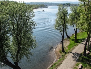 alberi, fiume, acqua, verde, strada, onde, panchina, foglie, paesaggio