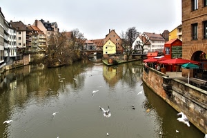 fiume, case, uccelli, ombrelloni, acqua, canale, gabbiani, alberi