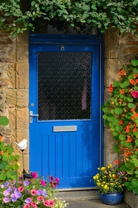 porta, fiori, vetro, azzurro, piante, verde, maniglia, vasi, giallo, blu, vaso, foglie, numero, rosa