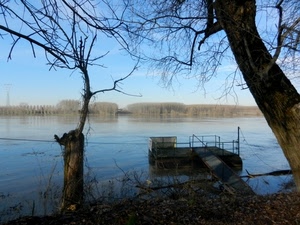 alberi, acqua, lago, fiume, pontile, rami, passerella, foglie, cielo