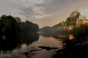 alberi, fiume, nuvole, riflessi, acqua, alba, tramonto, riflesso, paesaggio