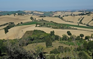 alberi, colline, verde, cielo, campi, piante, case, azzurro, panorama, coltivazioni, strade, campagna, paesaggio, collina