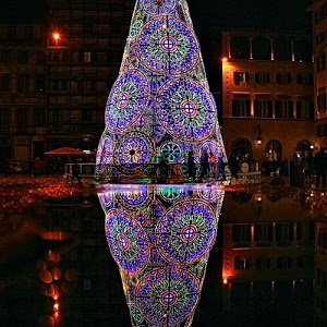 luci, riflesso, natale, albero, luminarie, colori, cerchi, notturno, notte, riflessi, piazza, case, finestre, cono, acqua, archi, viola, persone