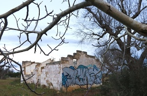 rudere, cielo, rami, murales, azzurro, graffito, nuvole, alberi, erba, albero, graffiti, verde, prato, ruderi, muro, muri, campagna