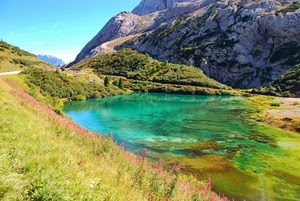 lago, verde, acqua, montagna, montagne, erba, fiori