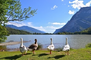 lago, oche, quattro, montagne, prato, verde, ombre, albero, cielo, monti