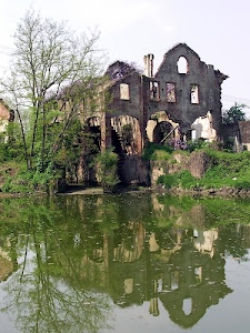acqua, rudere, riflesso, alberi, finestre, erba, verde, abbandono, cielo, rovina, rovine, ruderi, riflessi, macerie, facciata, muri, rami