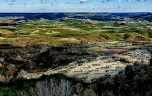 alberi, nuvole, colline, cielo, panorama, verde, campi, campagna, azzurro, ombre, erba, piante, prati, orizzonte, marrone, paesaggio, coltivazioni, rami
