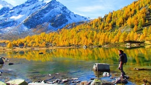 lago, montagna, alberi, acqua, neve, autunno, riflessi, montagne, sassi, rocce, giallo