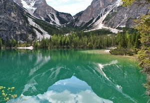 lago, alberi, riflesso, montagna, acqua, montagne, neve, riflessi, verde