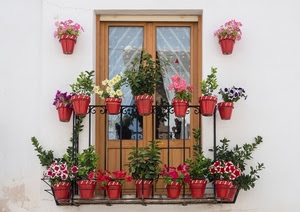 fiori, vasi, finestra, piante, ringhiera, balcone, tenda, tende