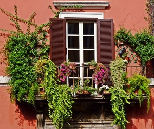 piante, balcone, finestra, fiori, persiane, ringhiera, verde, vasi, porta, casa, rampicanti, terrazzo, edera