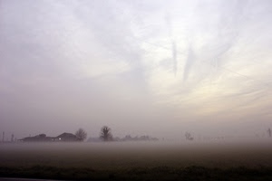 nebbia, alberi, cielo, case, nuvole, campagna, bianco, campi, campo, foschia