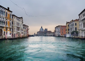 venezia, palazzi, acqua, canale, cupola, chiesa, laguna, uccelli, case