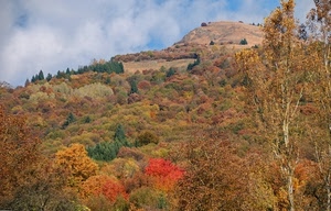 autunno, alberi, nuvole, montagna, collina, colori, rosso, bosco, paesaggio, giallo, cielo, multicolore