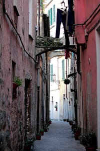 vicolo, vasi, panni, archi, arco, rosa, pantaloni