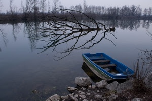barca, acqua, albero, fiume, lago, rami, riflesso, riva, sassi, blu