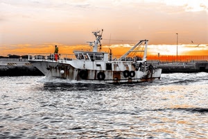 mare, tramonto, barca, acqua, porto, uomo, arancione, nave, controluce