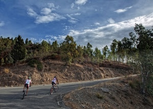 strada, alberi, ciclisti, nuvole, cielo, biciclette, salita, due