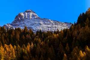 montagna, neve, alberi, cielo, autunno, montagne, bosco, azzurro