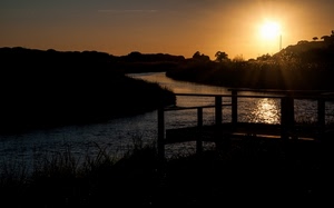 tramonto, fiume, acqua, sole, controluce, paesaggio, alberi