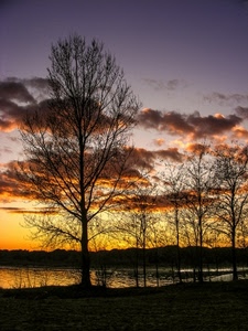 tramonto, alberi, nuvole, cielo, rami, fiume, lago, rosso