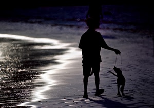spiaggia, cane, bambino, controluce, mare, bianconero
