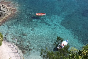 barche, mare, scogli, acqua, due, trasparente, strada, trasparenza, azzurro, piante, alberi, verde, ringhiera, foglie, costa