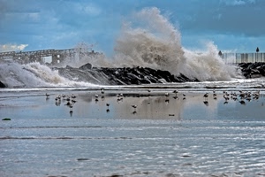 uccelli, mare, acqua, onda, gabbiani, onde, cielo, riflessi, scogli, nuvole, animali, schiuma, spruzzi, scogliera