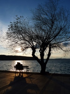 panchina, albero, lago, controluce, due, mare, ombra, innamorati, tramonto, sole