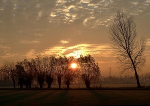 alberi, tramonto, nuvole, sole, cielo, paesaggio, pianura