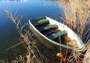 barca, acqua, lago, legno, canne, fiume, mare, riflesso, arbusti, giunchi, erba, foglie, azzurro
