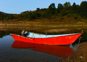 barca, rosso, acqua, alberi, riflesso, lago, cielo