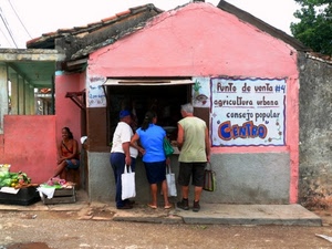 rosa, persone, borse, negozio, insegna, tre, donne, azzurro, bottega