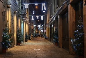 luci, alberi, strada, natale, addobbi, notte, luminarie, panni, vasi, notturno, passante, persone, bucato