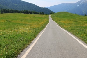 strada, verde, montagna, prato, montagne, alberi, paesaggio, prospettiva, prati, fiori