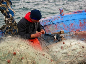 barca, pescatore, rete, mare, mani, reti, pescare, galleggianti, pesca