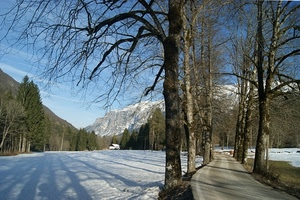 neve, alberi, strada, inverno, montagne, montagna, rami, bianco, cielo, ombre, casa, verde, spogli