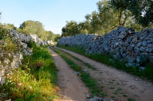 strada, alberi, erba, sentiero, muri, sassi, campagna, pietre, verde, piante, muro