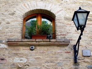 vaso, finestra, lampione, mattoni, pianta, vetro, muro, arco, riflesso, piante, ferro, verde, palazzo, legno